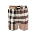 Short Burberry Classic