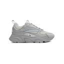 Dior B22 Gris